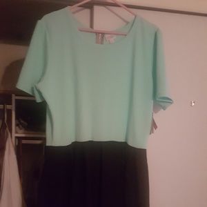 Dress NWT
